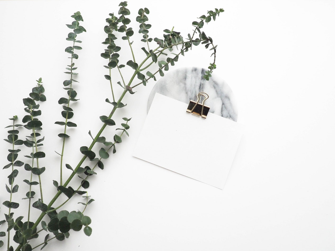 Agence de UCO : Une feuille blanche sur une table à côté d'une branche