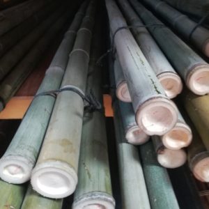 Tige de bambou durable fabriqué produit en France