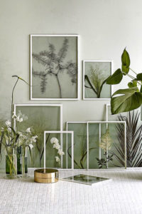 herbier-mural-UCO_décoration-végétale